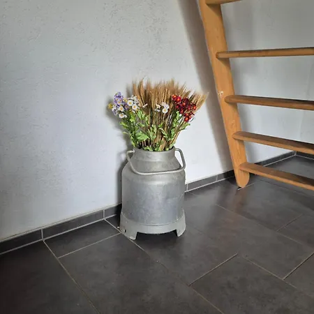 Haus Evelynchen 2 Tatil Evi Deutschhof